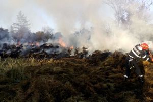 Incediul de la depozitul de furaje, lichidat după trei ore. 40 de tone de furaje, distruse