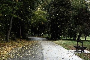 Vreme cu cer  variabil şi posibile ploi slabe. Vezi prognoza completă!