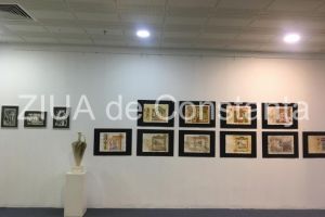 Un concept artistic in premiera in Dobrogea:  Finisajul expozitiei absolventilor Facultatii de Arte (galerie foto)  