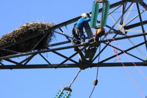 Electrica Furnizare demarează un proces amplu de modernizare a sistemului informatic