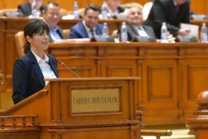 A fost adoptat proiectul care elimină ştampila din administraţia publică/ Violeta Răduţ: “Se mai elimină o etapă din birocratizarea excesivă a instituţiilor publice”