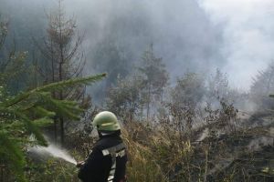 Incendiu întins pe aproape trei hectare lângă Gheorgheni. Pompierii au luptat cu focul ore în şir