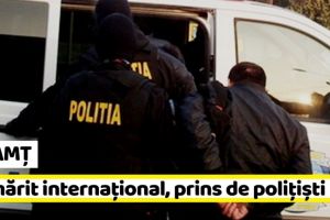 NEAMȚ: Nemţean căutat după o spargere în Danemarca, prins de poliţişti