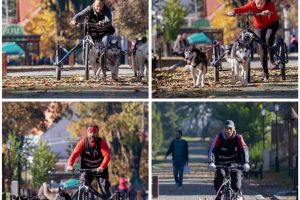 Concurs de atelaje canine pe roţi la Borsec