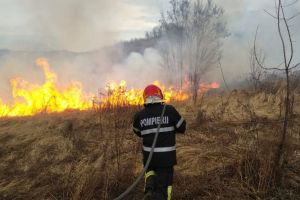 Incendiu la Țapu – Au ars peste zece hectare de vegetaţie uscată