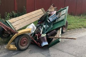 NICULEȘTI: Un cal scăpat de sub control era să omoare un copil