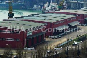 Ce a decis Consiliul de Administratie al Romned Port Operator SA in legatura cu Sorin-Constantin Greavu