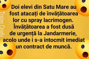Satu Mare, din nou în atenţia întregii ţări, în cazul profesoarei care a folosit spray