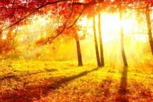 Prognoza meteo - Regiunea în care se ating 32 de grade