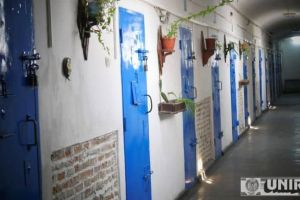 FOTO. Terapie asistată de animale la Penitenciarul Aiud. Cum îi ajută broscuţa Tomy şi iepuraşii Pufuleţ şi Gheruţă pe deţinuţi să îşi modeleze comportamentul