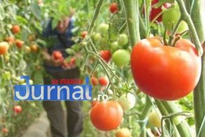 Aviz favorabil la Comisia Economică din Senat pentru proiectul privind acordarea primei de comercializare producătorilor români