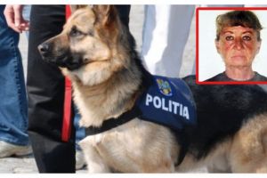 Dispăruta a fost găsită