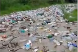 Ziua Curăţeniei în Argeş