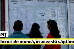 NEAMȚ: 160 NOI locuri de muncă, comunicate în această săptămână