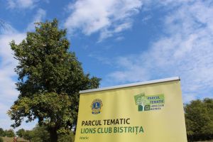 Wonderland-ul verde. Pomii plantaţi de saşi între Bistriţa şi Unirea, salvaţi de la uitare şi nepăsare