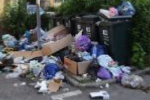 Se schimbă organigrama la Poliţia Locală Timişoara. Din cauza gunoiului din oraş!