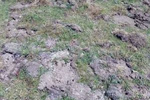 Mistreţii au făcut prăpăd într-o comună din judeţul Alba. Peste 80 de cereri de despăgubiri din partea cetăţenilor