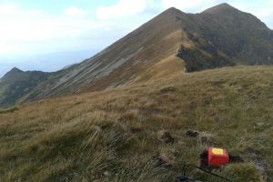 ”Săptămâna ariilor naturale protejate”, marcată în PN Munţii Rodnei