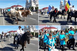 LIVE&FOTO. Cei mai frumoşi cai din judeţ, în paradă la Ardud