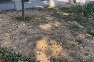 Parcul de la „Brătianu” nu e tot al nostru?