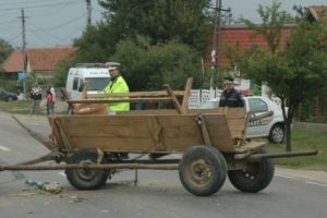 Căruţaşul accidentat la Fulga a decedat