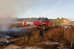 Seini: Incendiu la mai multe adaposturi de animale (FOTO)