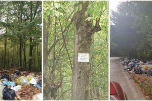 Imaginile nesimţirii de la Surduc. Turiştii nu mai au unde să campeze de gunoaie