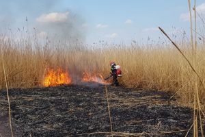 150 de intervenţii ale pompierilor, la final de săptămână; 68 la incendii de vegetaţie uscată şi mirişte