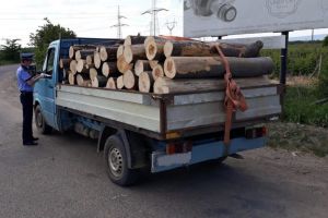 Autoutilitară încărcată cu material lemnos, fără documente identificată de poliţişti în comuna Vărşag