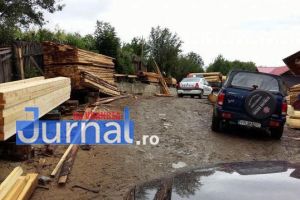 Infracţiuni cu duiumul în pădurile din Vrancea