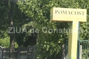 Pomacost, firma de casa a lui Mazare, fondata de Basarab Popa, investeste in imobiliare. Imobil de patru etaje, in Constanta