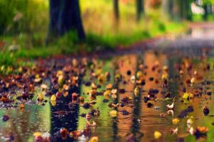 Cum va fi VREMEA în acest weekend: Prognoza meteo pentru sâmbătă şi duminică. Tendinţa ultimelor zile din septembrie