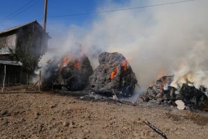VIDEO & FOTO Incendiu! Furajele dintr-o gospodărie din judeţul Botoşani, cuprinse de flăcări