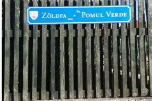 Toate plăcuţele cu denumirile străzilor de pe raza municipiului Miercurea Ciuc vor fi înlocuite. Primarul a fost obligat de ADEC, prin instanţă