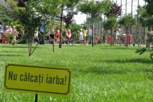 Cu drag pentru Horticultura, dar nu se poate! Robu ar fi vrut monopol pentru parcuri pe modelul SDM