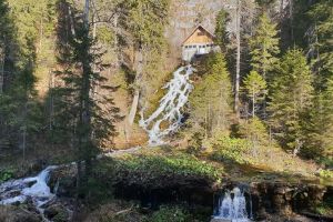 5 beneficii ale vacanţei la munte alături de copiii tăi