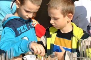 SC VITAL, exercitiu practic de determinare a PH-ului din apa pe care o consumam