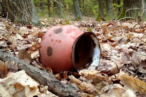 Clujenii vor un viitor curat! Acţiune de ecologizare în Pădurea Făget