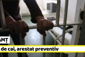 NEAMȚ: Hoţ de cai, arestat preventiv