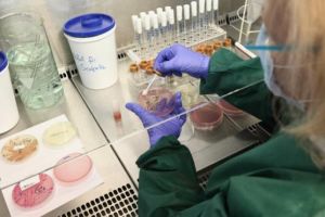Explozie la unul dintre cele mai periculoase locuri de pe Pământ, unde se păstrează viruşi de variolă, Ebola şi HIV