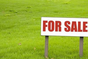 Vanzare teren intravilan in Ocna Sugatag – Extras publicatie imobiliara, din data de 17. 09. 2019