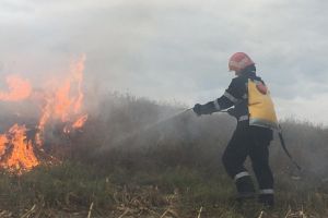 Incendiu in apropierea Satului Pescaresc! Pompierii se lupta cu flacarile (galerie foto)