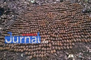 FOTO: Descoperire-şoc la Cîmpuri: peste o mie de grenade, scoase din pământ!