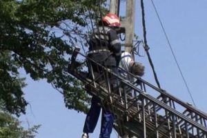 Femeie electrocutată pe strada Depozitelor!