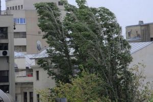 Avertizare de tip Nowcasting: vânt puternic în judeţele Harghita, Covasna şi Mureş