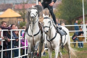 Evenimentul ecvestru al toamnei este Dracula Horse Festival – La ce să te aştepţi