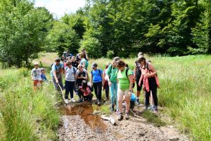 „Wildlife watch”: Elevi bihoreni au învăţat, alături de Ecotop, cum să fie ecologişti (FOTO)