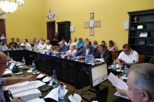 Un director al Zonei Metropolitane intră în Consiliul Local Botoşani