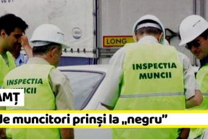 NEAMȚ: 20 de muncitori prinşi la „negru”
