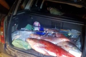 Braconaj piscicol la Izvoru! Portbaje îndesate cu peşti luaţi cu japca!